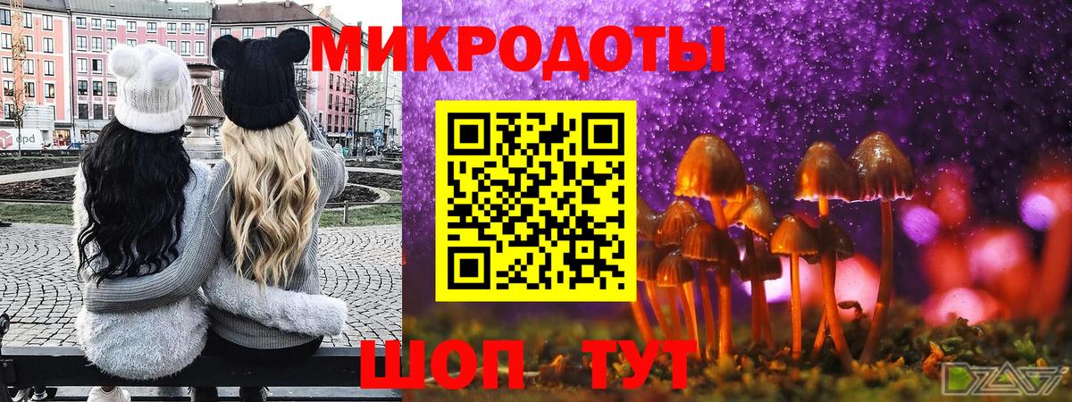 Аргун  Псилоцибиновые грибы мухоморы  Вход с VPN 