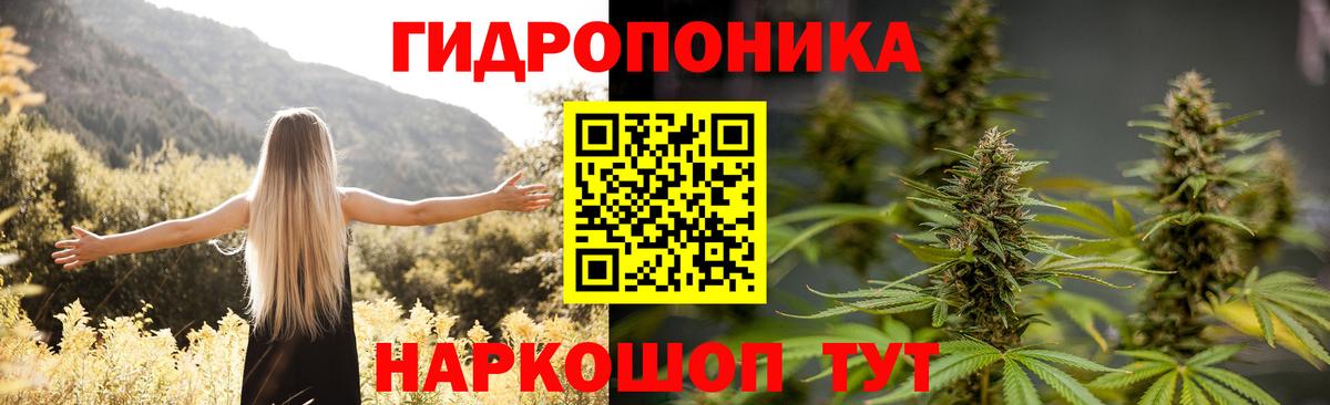 Бошки марихуана White Widow Аргун